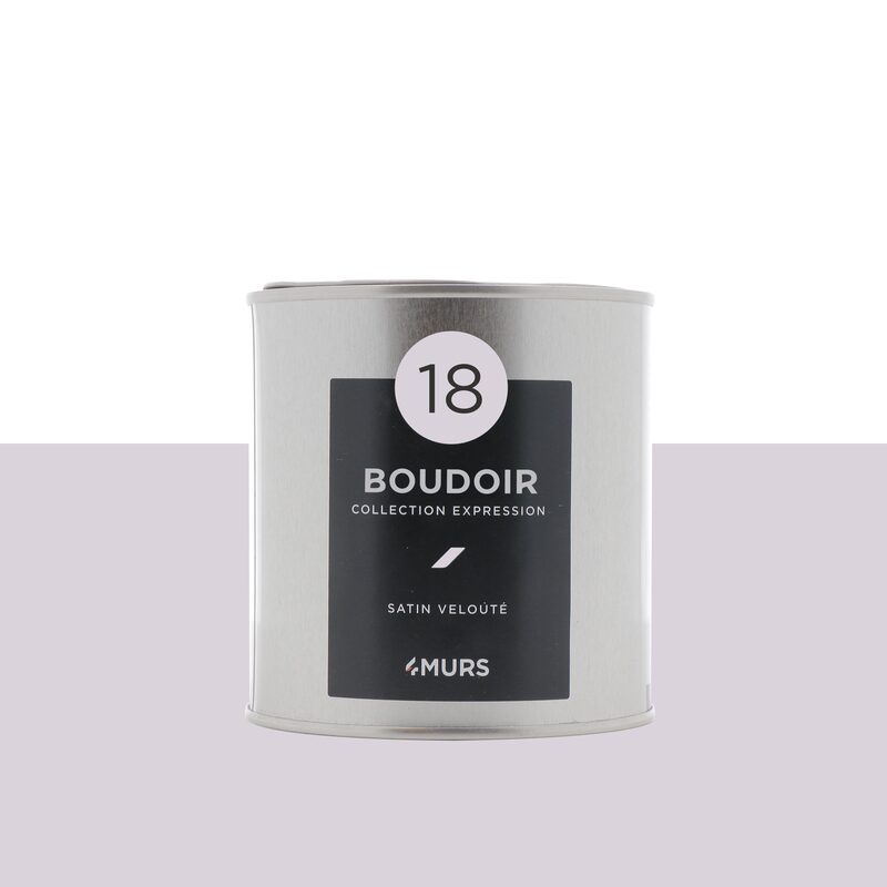 Peinture Finition EXPRESSION Acrylique boudoir Satiné 0,5 L