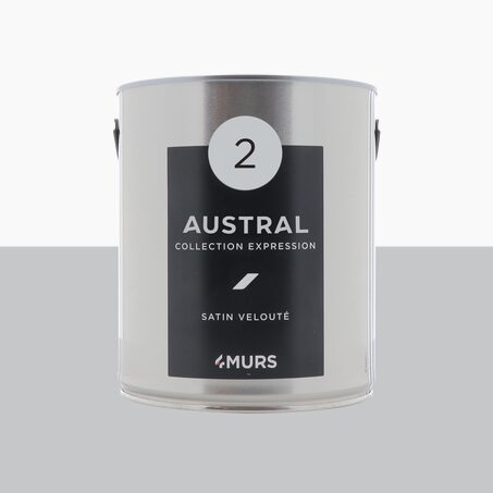 Expression Peinture Multi-supports Peinture austral Satiné