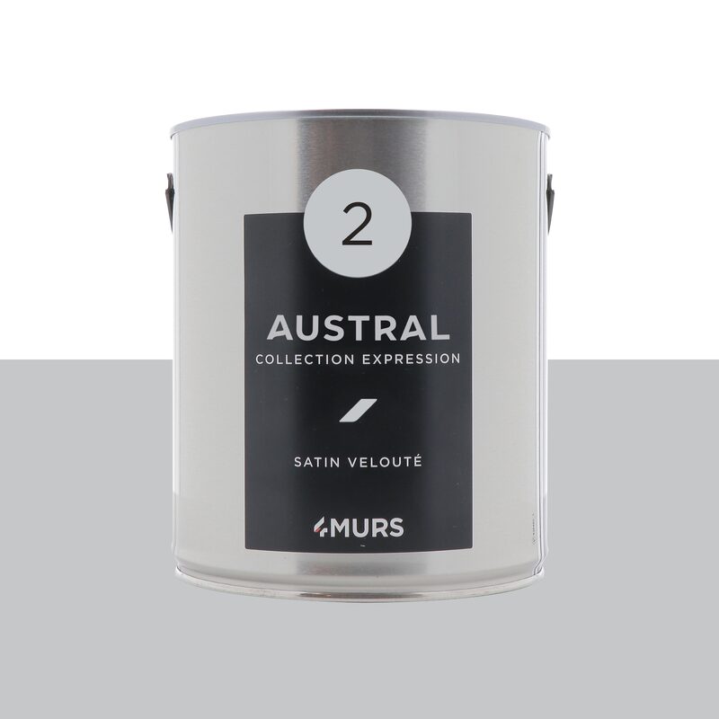Peinture Multi-supports EXPRESSION Acrylique austral Satiné 2,5 L