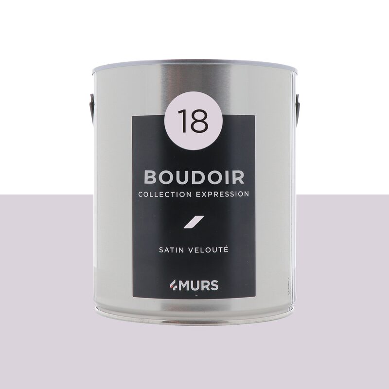 Peinture Multi-supports EXPRESSION Acrylique boudoir Satiné 2,5 L