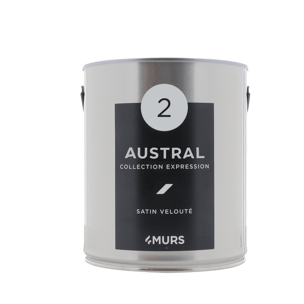 Peinture Multi-supports EXPRESSION Acrylique austral Satiné 2,5 L