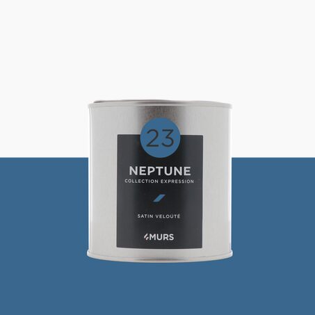 Expression Peinture Finition neptune Satiné 0,5 L