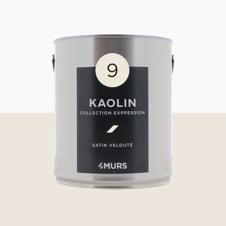 Expression Peinture Multi-supports Peinture blanc kaolin Satiné