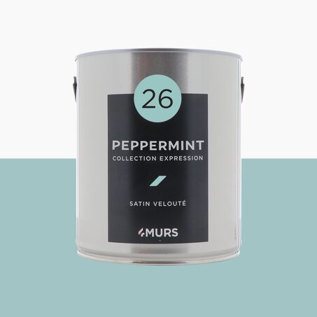 Expression Peinture Multi-supports Peinture peppermint Satiné