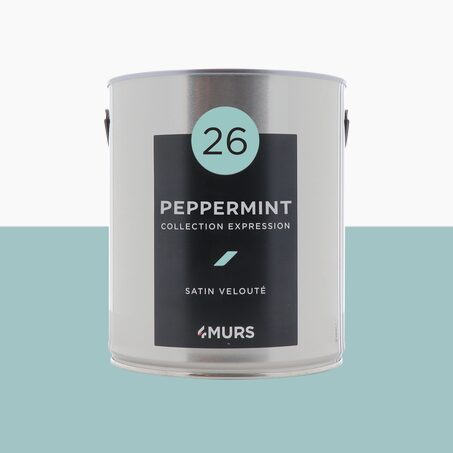Peinture Multi-supports EXPRESSION peppermint Satiné