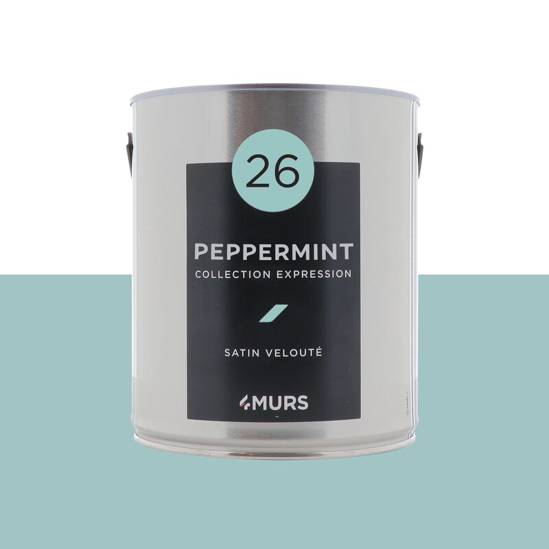 Peinture Multi-supports EXPRESSION Acrylique peppermint Satiné 2,5 L