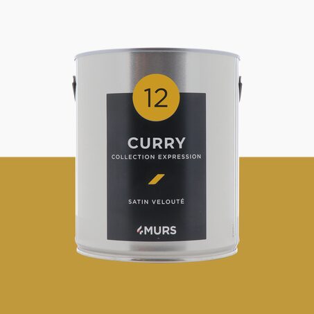 Peinture Multi-supports EXPRESSION curry Satiné
