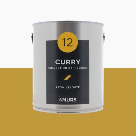 Expression Peinture Multi-supports Peinture curry Satiné