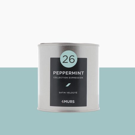 Expression Peinture Finition Peinture peppermint Satiné 0,5 L