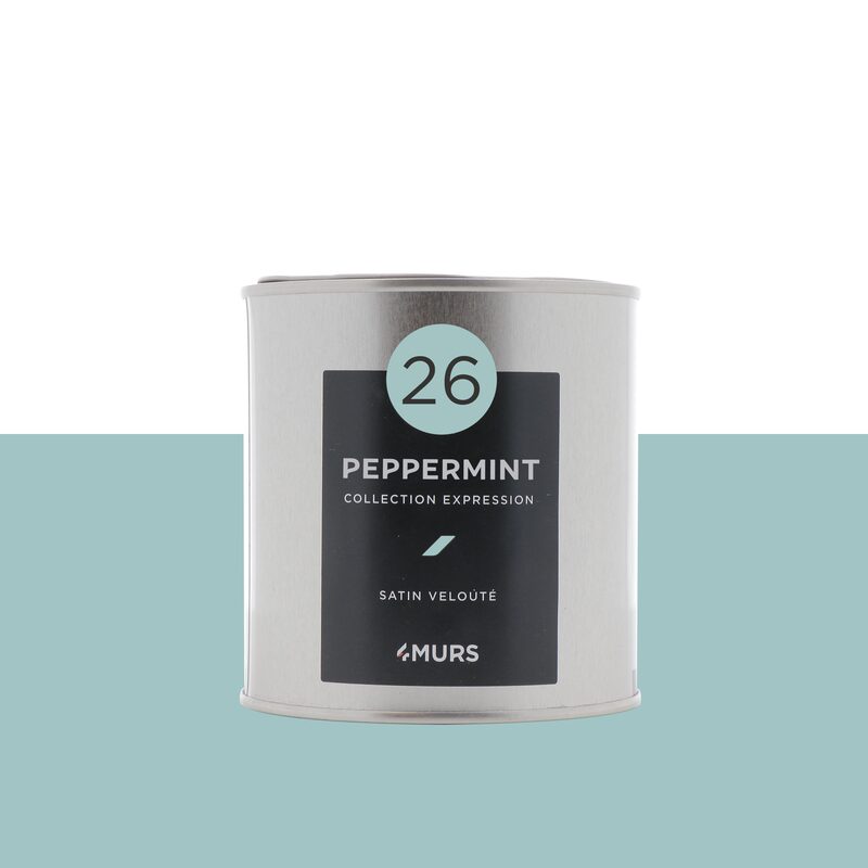 Peinture Finition EXPRESSION Acrylique peppermint Satiné 0,5 L