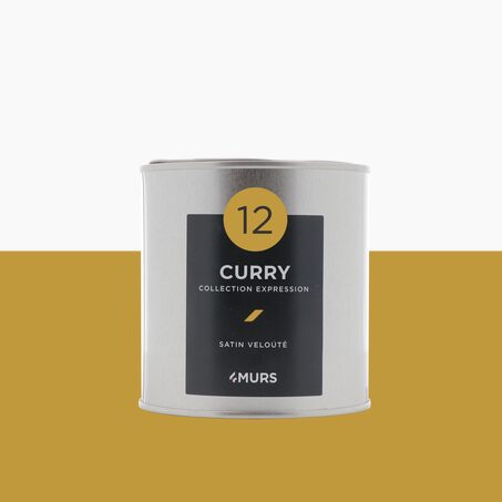 Expression Peinture Finition Peinture curry Satiné 0,5 L