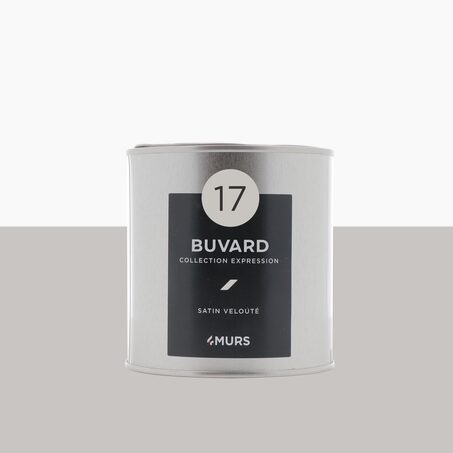 Peinture Finition EXPRESSION buvard Satiné 0,5 L