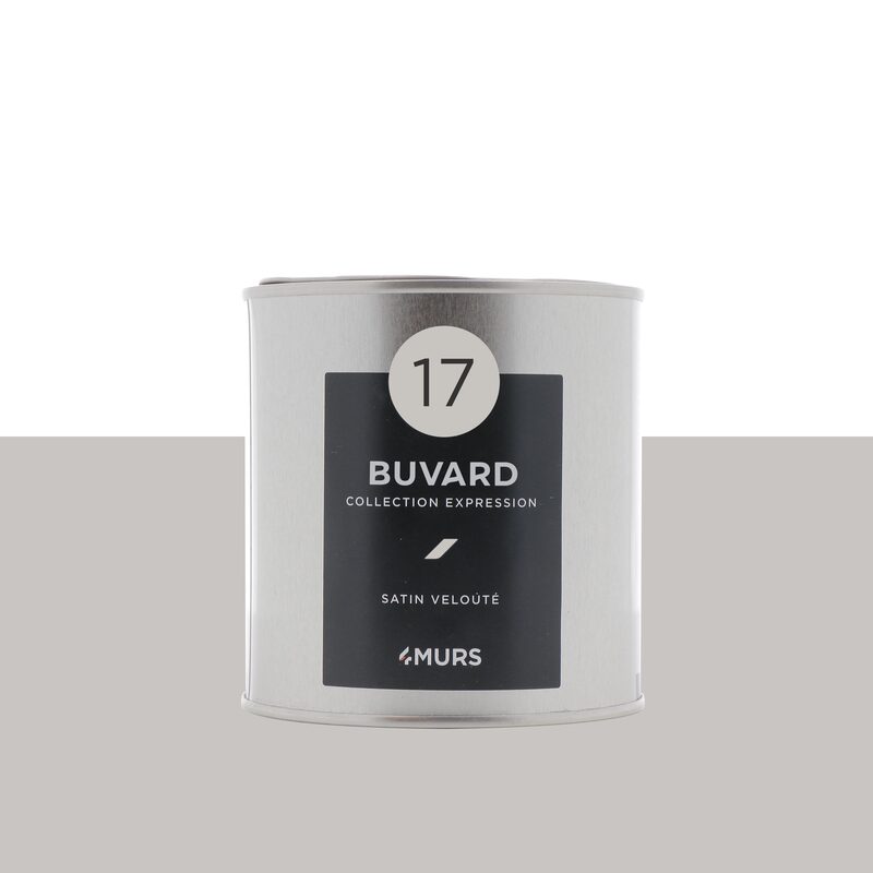 Peinture Finition EXPRESSION Acrylique buvard Satiné 0,5 L