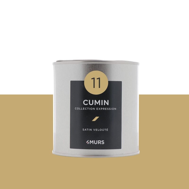 Peinture Finition EXPRESSION Acrylique cumin Satiné 0,5 L