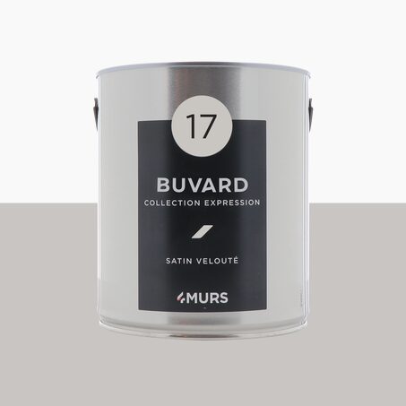 Expression Peinture Multi-supports Peinture buvard Satiné