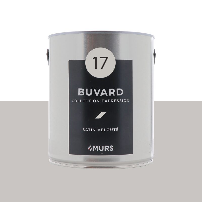 Peinture Multi-supports EXPRESSION Acrylique buvard Satiné 2,5 L