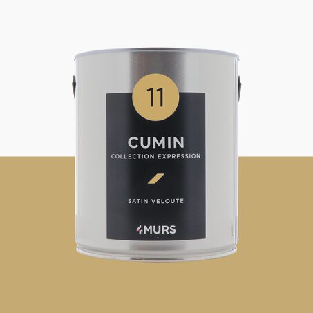 Expression Peinture Multi-supports Peinture cumin Satiné