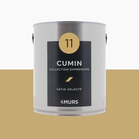 Peinture Multi-supports EXPRESSION cumin Satiné