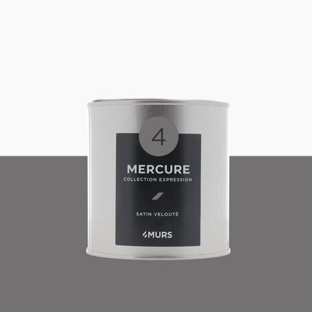 Expression Peinture Finition Peinture mercure Satiné 0,5 L