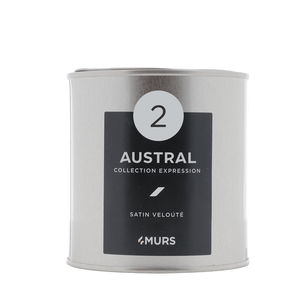 Peinture Finition EXPRESSION Acrylique austral Satiné 0,5 L