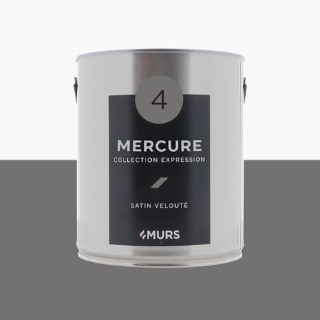 Expression Peinture Multi-supports Peinture mercure Satiné