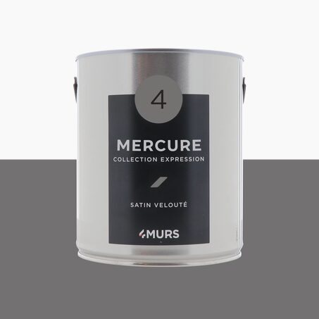 Peinture Multi-supports EXPRESSION mercure Satiné