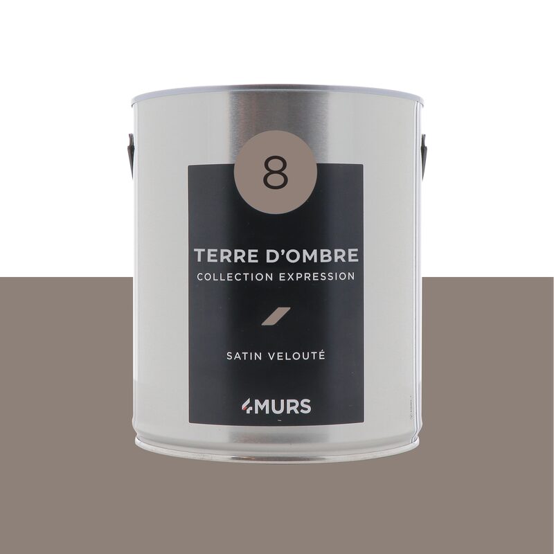Peinture Multi-supports EXPRESSION Acrylique terre d'ombre Satiné 2,5 L