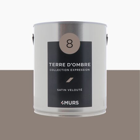 Peinture Multi-supports EXPRESSION terre d'ombre Satiné