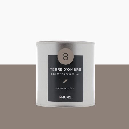 Expression Peinture Finition Peinture terre d'ombre Satiné 0,5 L