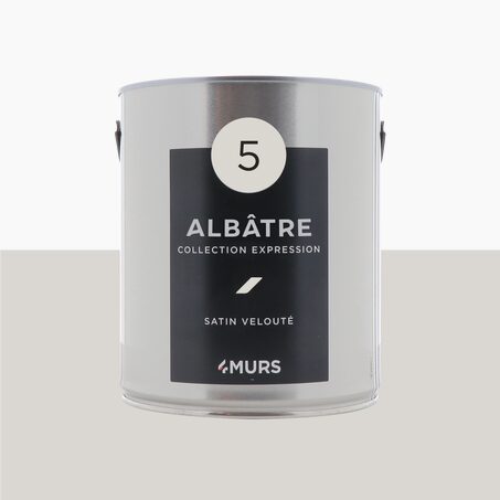 Expression Peinture Multi-supports Peinture blanc albâtre Satiné