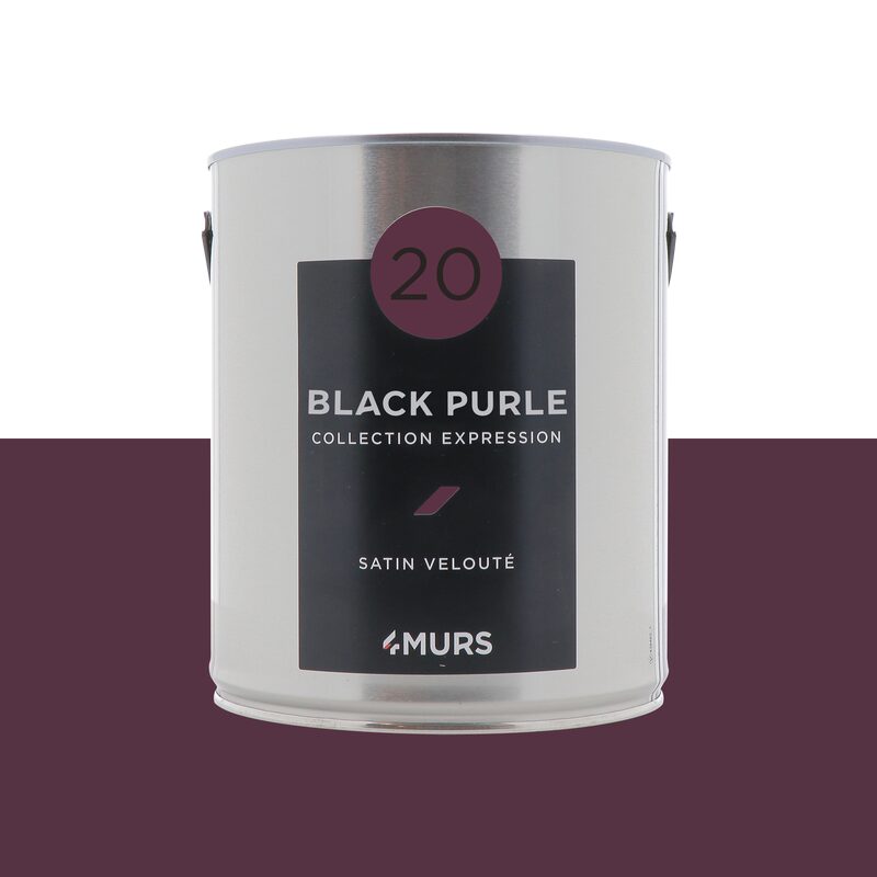 Peinture Multi-supports EXPRESSION Acrylique black purple Satiné 2,5 L