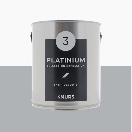 Expression Peinture Multi-supports Peinture platinium Satiné