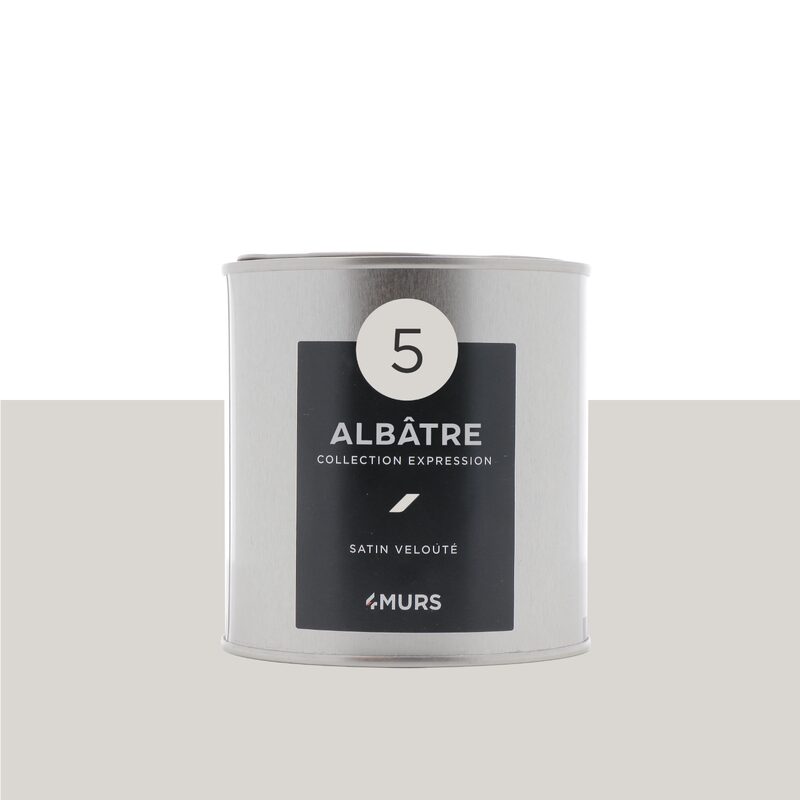 Peinture Finition EXPRESSION Acrylique blanc albâtre Satiné 0,5 L