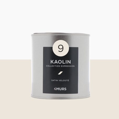 Expression Peinture Finition Peinture blanc kaolin Satiné 0,5 L