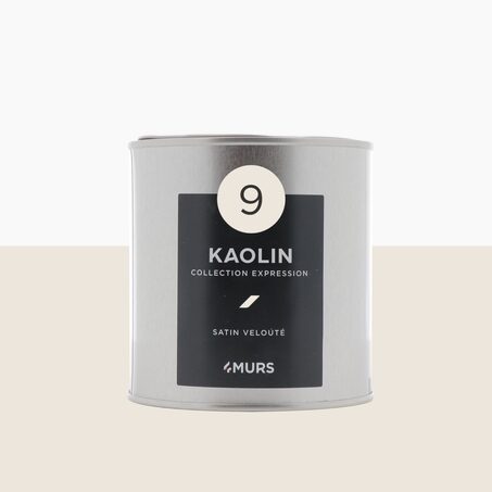 Peinture Finition EXPRESSION blanc kaolin Satiné 0,5 L