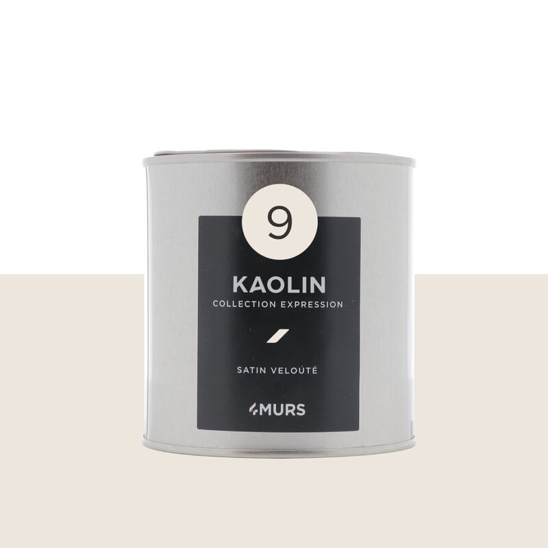 Peinture Finition EXPRESSION Acrylique blanc kaolin Satiné 0,5 L