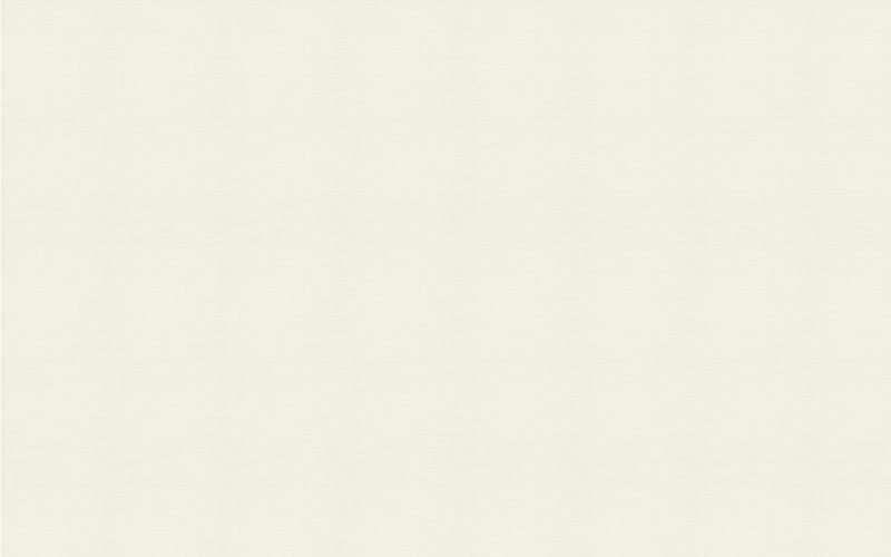 Papier peint intissé PARMENTO coloris blanc