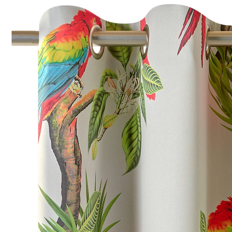 Tissu PERROQUET coloris multicolore
