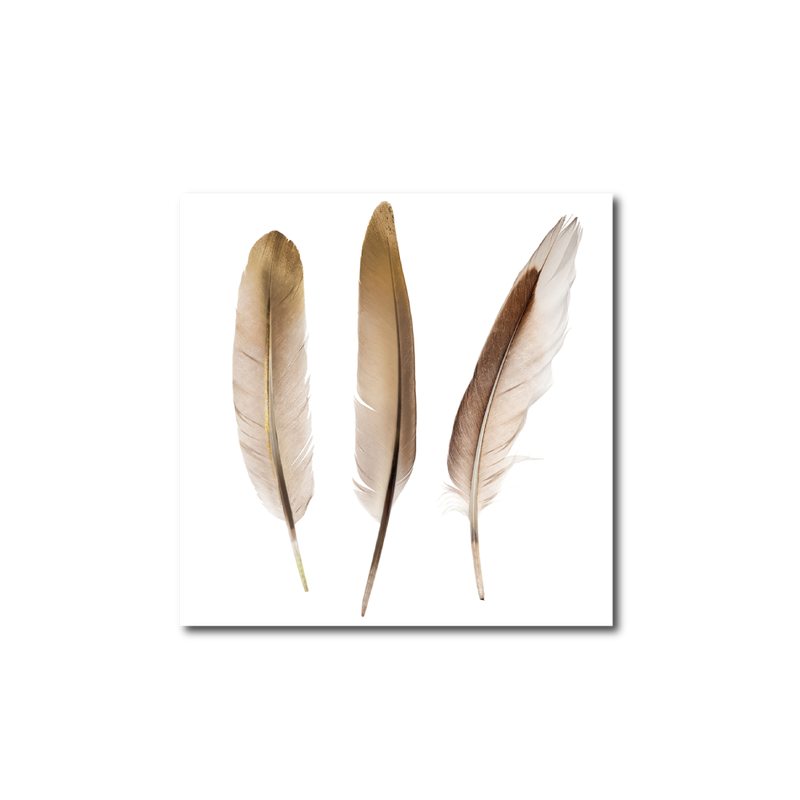 Tableau en verre OR ET PLUME 30 x 30 cm