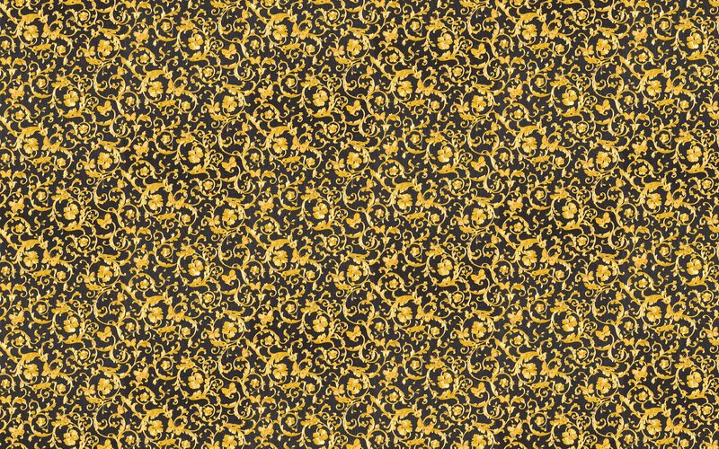 Papier peint intissé VERSACE FARFALLE coloris noir