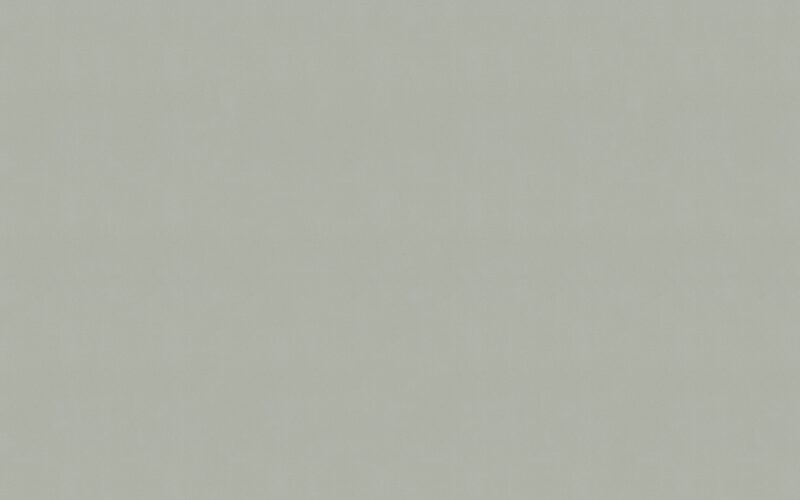 Papier peint intissé IMPRESSION coloris gris mastic
