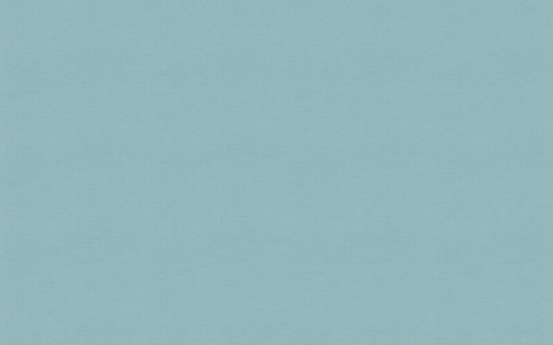 Papier peint intissé ESTEBAN coloris bleu givré