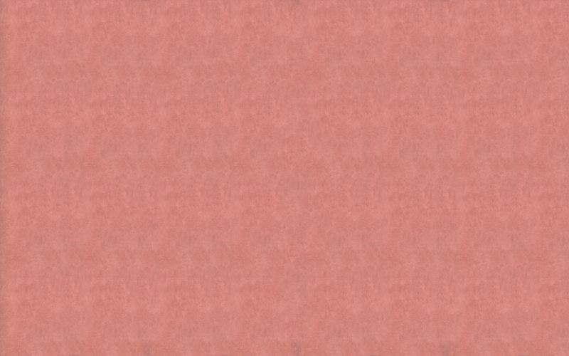 Papier peint intissé CLASSIC LINE coloris terracotta