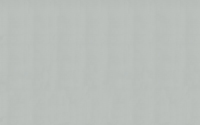 Papier peint intissé NEW COSY coloris argent