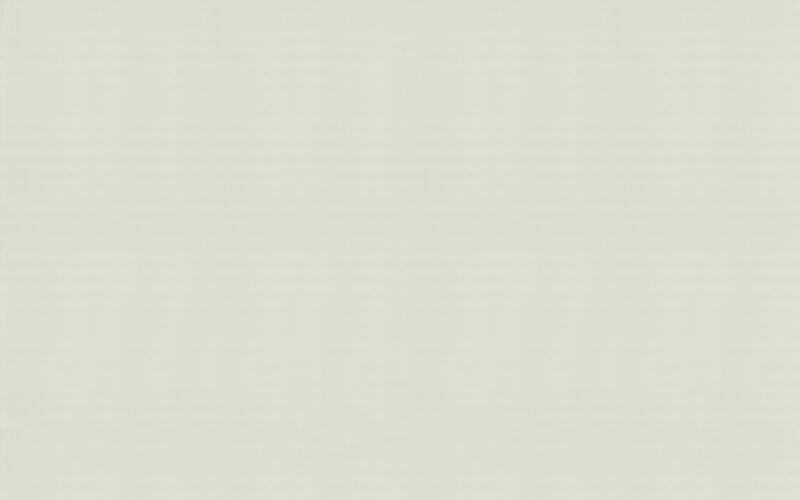 Papier peint intissé NEW COSY coloris gris perle