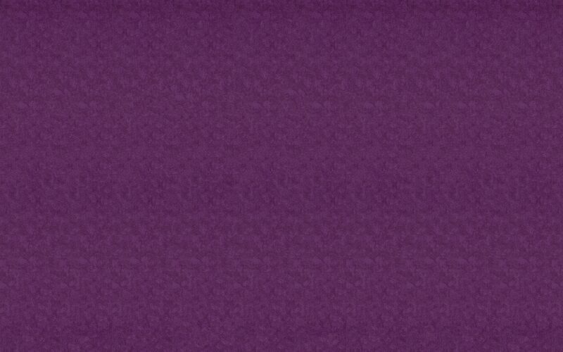 Papier peint intissé ESSENTIELLE coloris aubergine