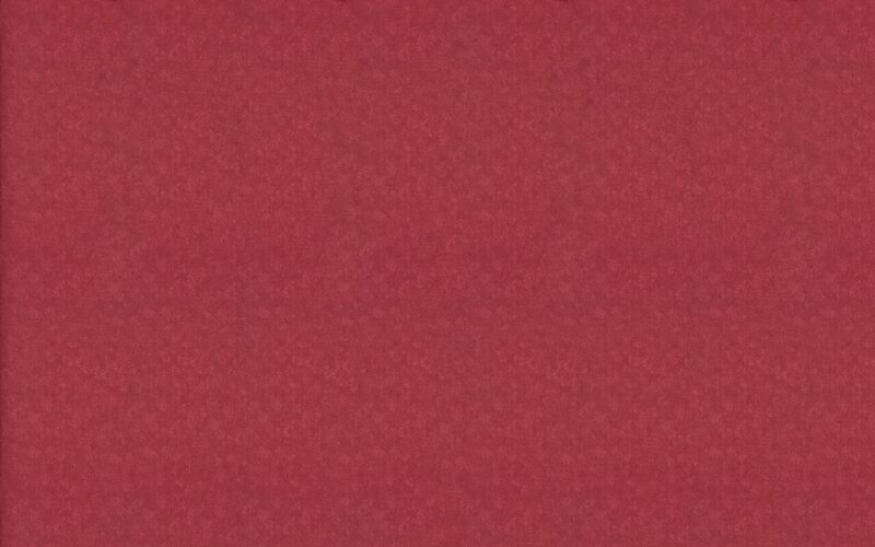Papier peint intissé ESSENTIELLE coloris lie de vin