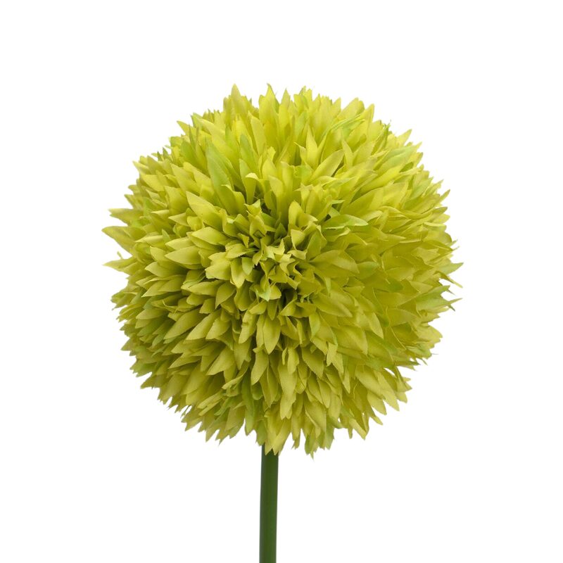 Fleur artificielle ALIUM BOULE coloris vert