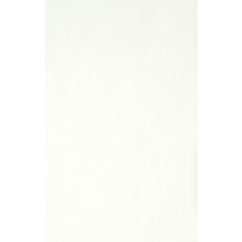 Toile de verre VOILE DE VERRE PRE-PEINT