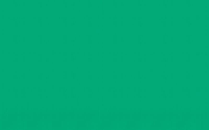 Papier peint intissé NEW INFINITY coloris vert urbain